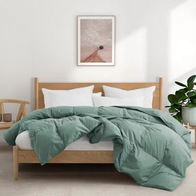 Puredown All Season Cotton Down Comforter/duvet Insert In Green