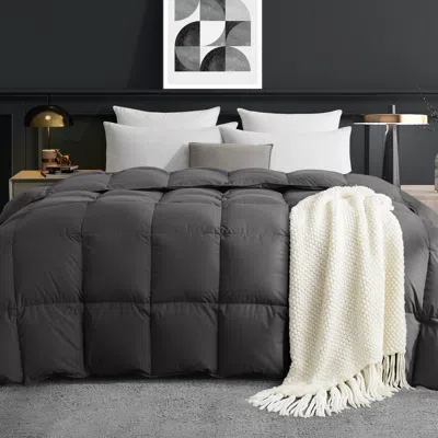 Puredown Down Feather Fiber Comforter Fluffy Breathable Duvet Insert Ultra Soft All Season Luxury Bedding Com In Gray