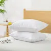 Puredown Dual-comfort Goose Down & Feather Pillow In White
