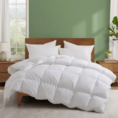 Puredown Goose Feather Down All Season Comforter In White
