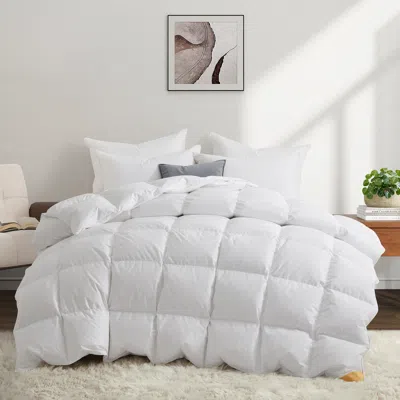 Puredown Made In Germany 800 Fill Power European White Down Comforter