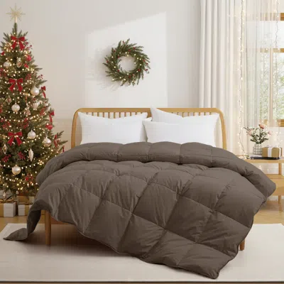 Puredown Made In Germany All Season Organic Cotton Down & Feather Comforter In Brown