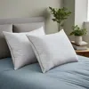 Puredown Premium Grey Goose Feather Pillows (set Of 2)