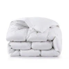 Puredown Winter Down Comforter In White