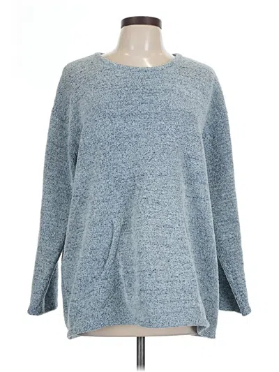 Pre-owned Purejill Pullover Sweater In Blue