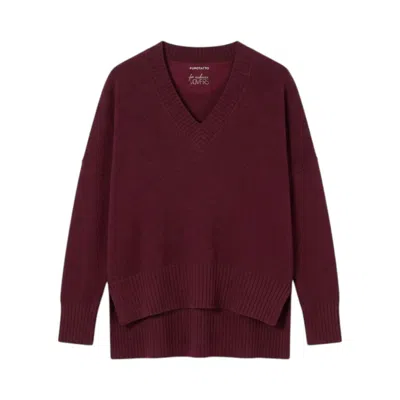 Purotatto Maglia V In Burgundy