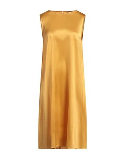 Purotatto Woman Midi Dress Mandarin Size 6 Silk, Elastane