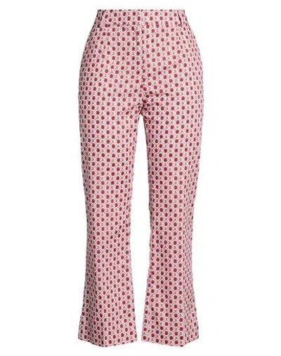 Purotatto Woman Pants Magenta Size 10 Cotton, Elastane In Pink