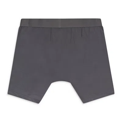Purple Brand Boxer Briefs Grey Underwear