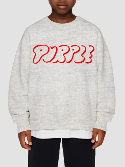 Purple Brand Little Boy's & Boy's Bubble Logo Sweater In Heather