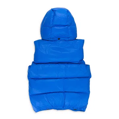 Purple Brand Nylon Blue Down & Puffer Jackets