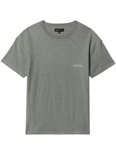 Purple Brand Radial Wordmark T-shirt In Grey