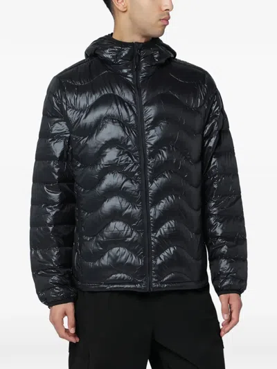 Purple Mountain Observatory Hooded Quilted Jacket In Black