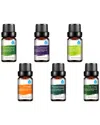 Pursonic 100% Pure Essential Aromatherapy Oils Gift Set