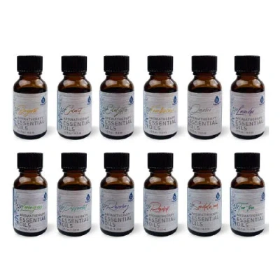 Pursonic 12 Pack Of Aromatherapy Essential Oils In Multicolor