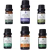 Pursonic 6 Pack Of 100% Pure Essential Aromatherapy Oils Blends In Dark Brow