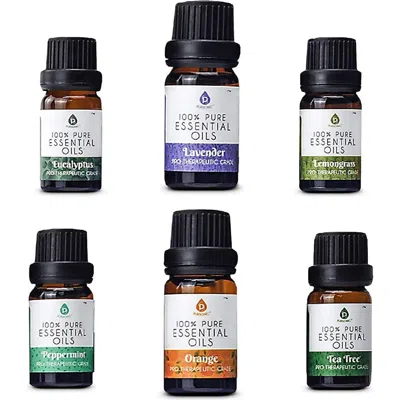 Pursonic 6 Pack Of 100% Pure Essential Aromatherapy Oils Blends In Dark Brow