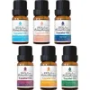 Pursonic 6 Pack Of 100% Pure Essential Aromatherapy Oils Blends In Multicolor