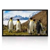 Pyle Fixed Frame Projector Screen Projector Screen In Black