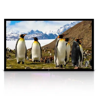 Pyle Fixed Frame Projector Screen Projector Screen In Black