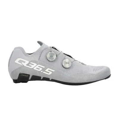 Q36.5 Dottore Clima Silver Shoes In Multi
