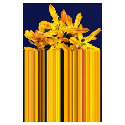 Pre-owned Qeeboo Carpet Glitch Yellow Rectangular In Non-slip Polyester & Polyamide