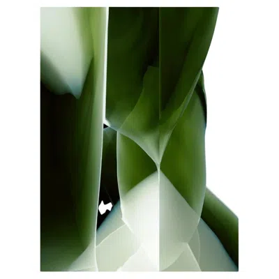 Pre-owned Qeeboo Carpet Studio Nucleo Green Onyx In Polyamide (nylon)