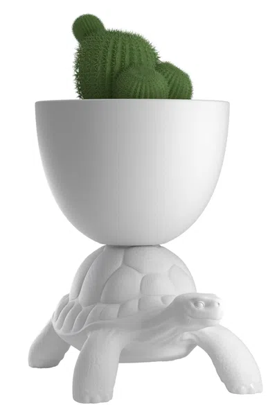 Qeeboo The 'turtle Carry Planter And Champagne Cooler' Vase In White
