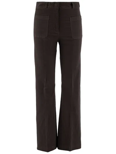 Ql2 Flared Dark Brown Cotton Velvet Pants With Tailored Finish In Multi