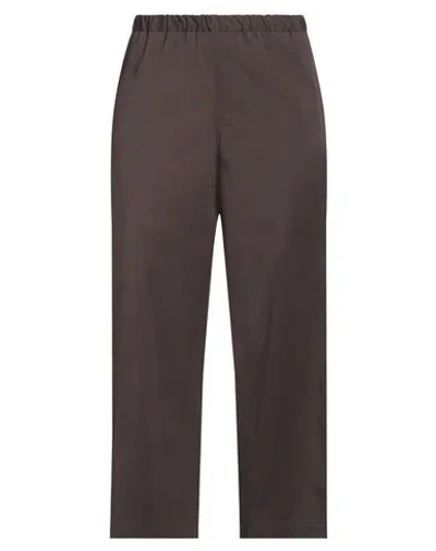 Ql2  Quelledue Ql2 Quelledue Woman Pants Chocolate Brown Size 16 Cotton, Elastane