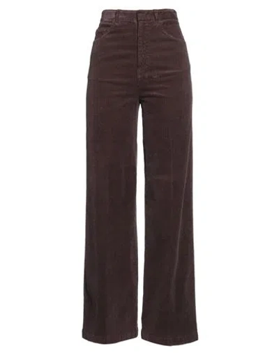 Ql2  Quelledue Ql2 Quelledue Woman Pants Chocolate Brown Size 4 Cotton, Elastane In Brown