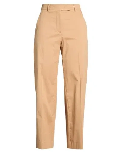 Ql2  Quelledue Ql2 Quelledue Woman Pants Sand Size 6 Cotton, Elastane In Brown