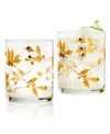 Qualia Glass Classic Double Old Fashion Glasses, Set Of 2 In Clear With Gold