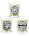 Qualitas Candles 3pc Candle Set - Amber, Amber Patchouli, & Amber Suede In White