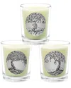Qualitas Candles 3pc Candle Set - Amber Oud, Oud, & Fleur Oud In White