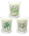 Qualitas Candles 3pc Candle Set - Clove Leaf, Nutmeg, & Paprika Basil In White