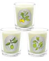 Qualitas Candles 3pc Candle Set - Desert Lime, Bergamot, & Lemon Tree In White