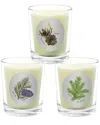 Qualitas Candles 3pc Candle Set - Fir Needle, Pinecone, & Pine Tree In White