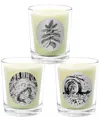 Qualitas Candles 3pc Candle Set - Forest Moss, Fresh Mown Hay, & Patchouli In White