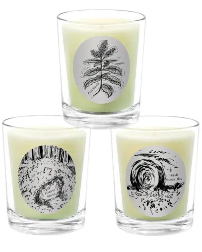 Qualitas Candles 3pc Candle Set - Forest Moss, Fresh Mown Hay, & Patchouli In White