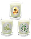 Qualitas Candles 3pc Candle Set - Frankincense, Wild Honey, & Myrrh In White