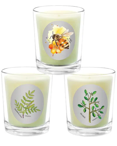 Qualitas Candles 3pc Candle Set - Frankincense, Wild Honey, & Myrrh In White