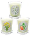 Qualitas Candles 3pc Candle Set - Orange Blossom, Paperwhite, & Daffodil In White