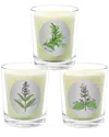 Qualitas Candles 3pc Candle Set - Rosemary, Sage, & Clary Sage In White