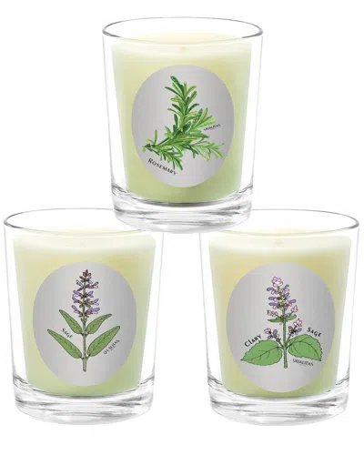 Qualitas Candles 3pc Candle Set - Rosemary, Sage, & Clary Sage In White