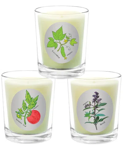 Qualitas Candles 3pc Candle Set - Tomato Leaf, Cucumber, & Basil In White