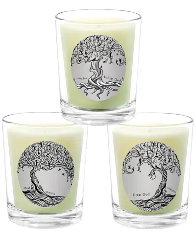 Qualitas Candles 3pc Candle Set - Amber Oud In Multi