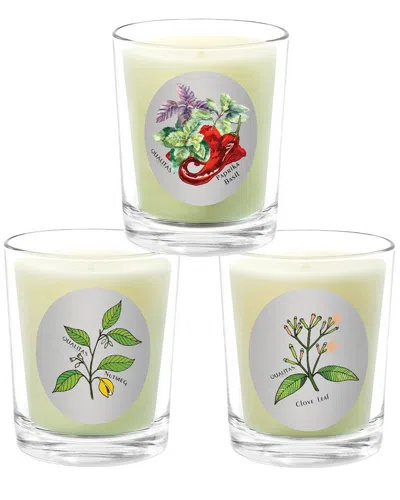 Qualitas Candles 3pc Candle Set - Clove Leaf In Multi