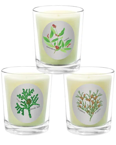 Qualitas Candles 3pc Candle Set - Cypress In Green