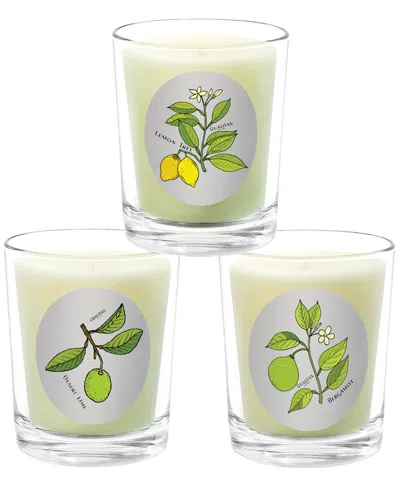 Qualitas Candles 3pc Candle Set - Desert Lime In Multi